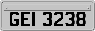 GEI3238