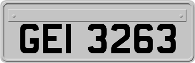 GEI3263
