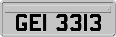 GEI3313