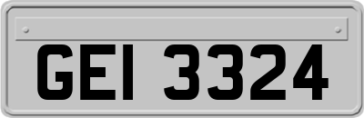 GEI3324