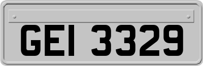 GEI3329