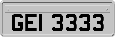GEI3333