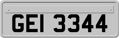 GEI3344