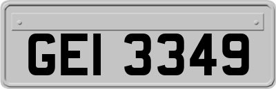 GEI3349