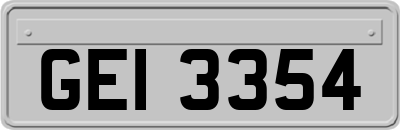GEI3354