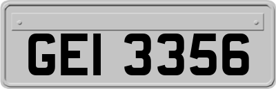 GEI3356