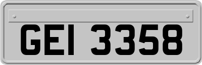 GEI3358