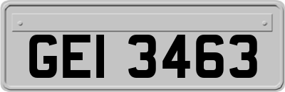 GEI3463