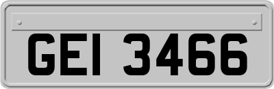 GEI3466