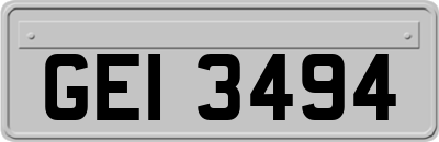 GEI3494