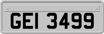 GEI3499