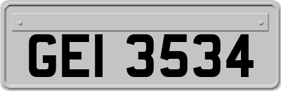 GEI3534