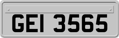 GEI3565