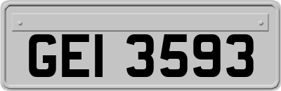 GEI3593