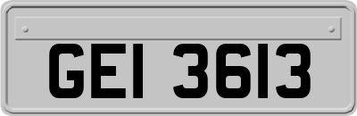 GEI3613