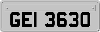 GEI3630