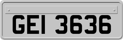 GEI3636