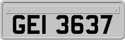 GEI3637