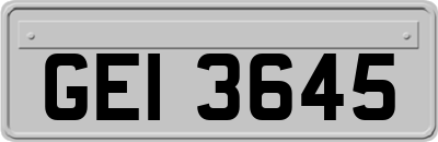 GEI3645