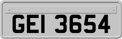GEI3654