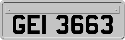 GEI3663
