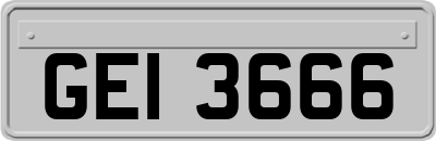 GEI3666