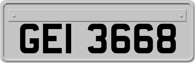 GEI3668