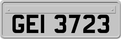 GEI3723