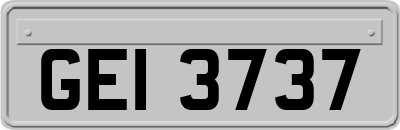 GEI3737