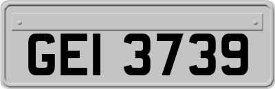GEI3739