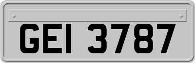 GEI3787