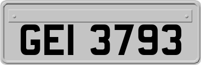 GEI3793