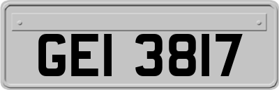 GEI3817