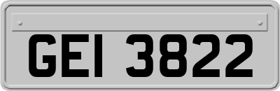GEI3822
