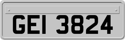 GEI3824
