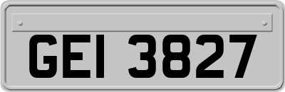 GEI3827