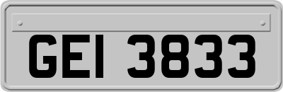 GEI3833