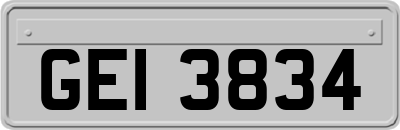GEI3834