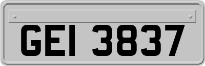GEI3837