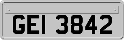 GEI3842