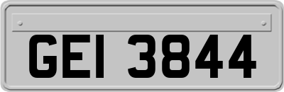 GEI3844