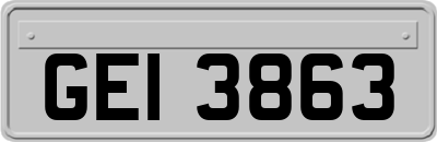 GEI3863