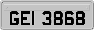 GEI3868