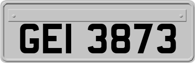 GEI3873