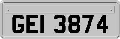 GEI3874