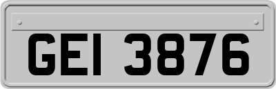 GEI3876