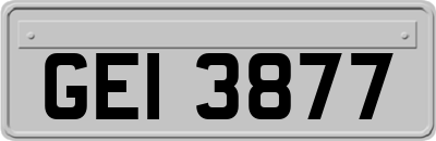 GEI3877