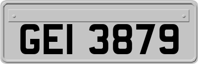 GEI3879