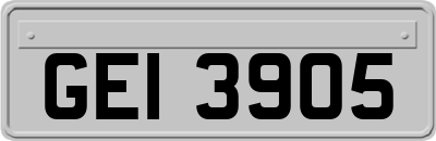 GEI3905