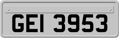 GEI3953